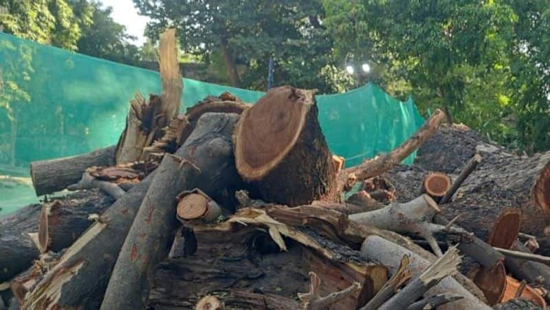 Cut down 600 trees for egmore railway station? Anbumani 