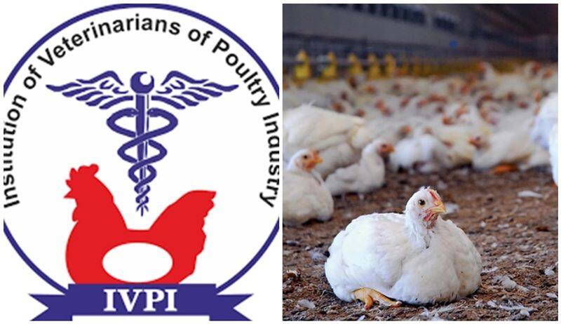 Anti Microbial Resistance AMR from chicken Institution of Veterinarians of Poultry Industry responds san