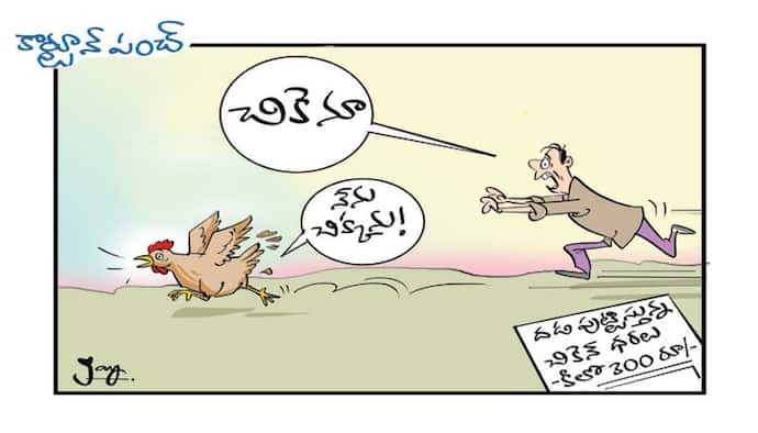 cartoon
