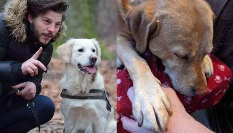 man and pet dog diagnosed with kidney cancer just months apart hyp