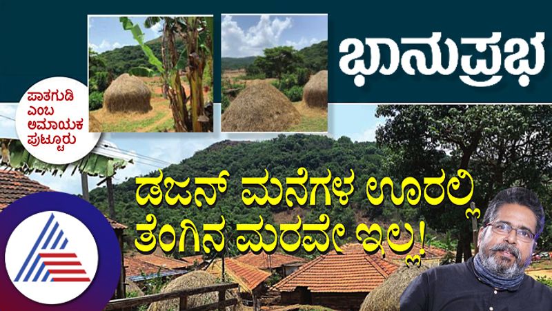 Patagudi village of uttara kannada district clean village has no coconut tress