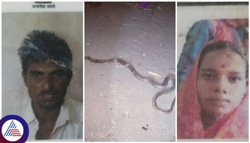 Snake bite on Sleeping couple at home husband died and wife is in critical condition sat