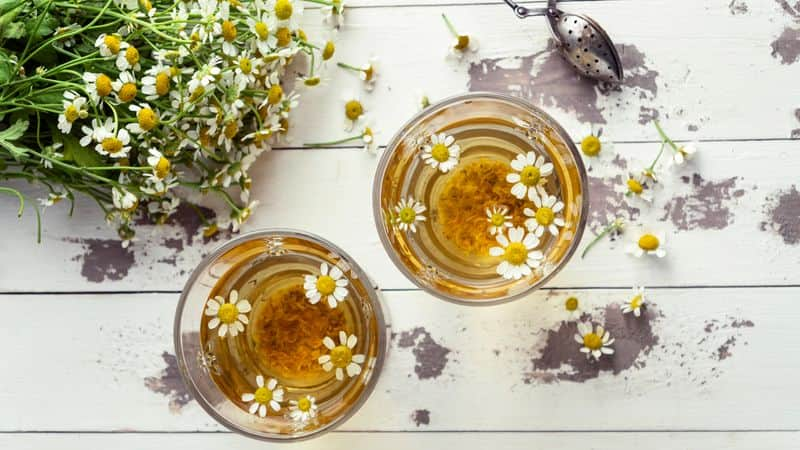 Sip your way to digestive wellness: Discover 6 soothing teas for optimal gut health ADC