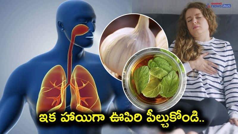 Breathe Easy: Natural Remedies for Asthma and Bronchitis