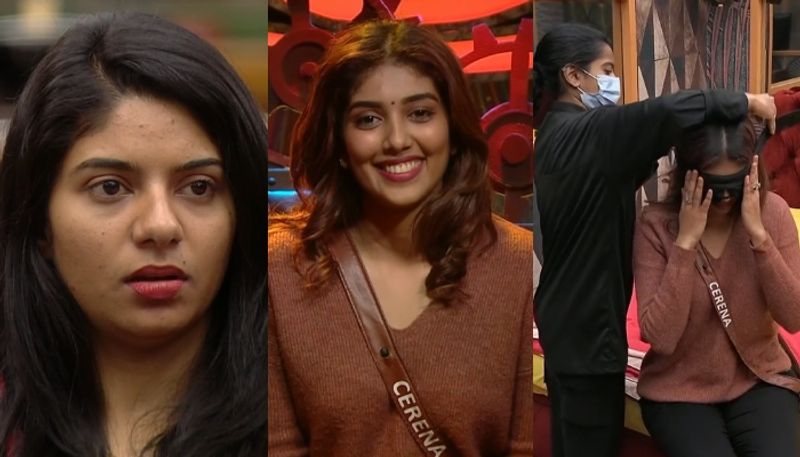 cerena ann johnson returned to bigg boss malayalam season 5 from secret room nsn