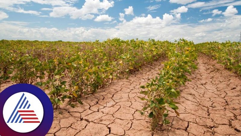 Difficulty for agriculture due to climate change at chikkaballapur rav