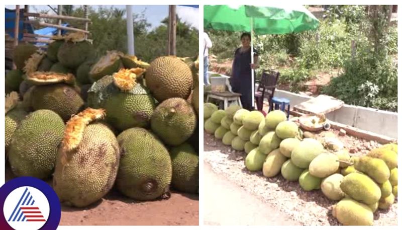 chikkamagaluru sakarayapattana famous for jackfruit kannada news gow