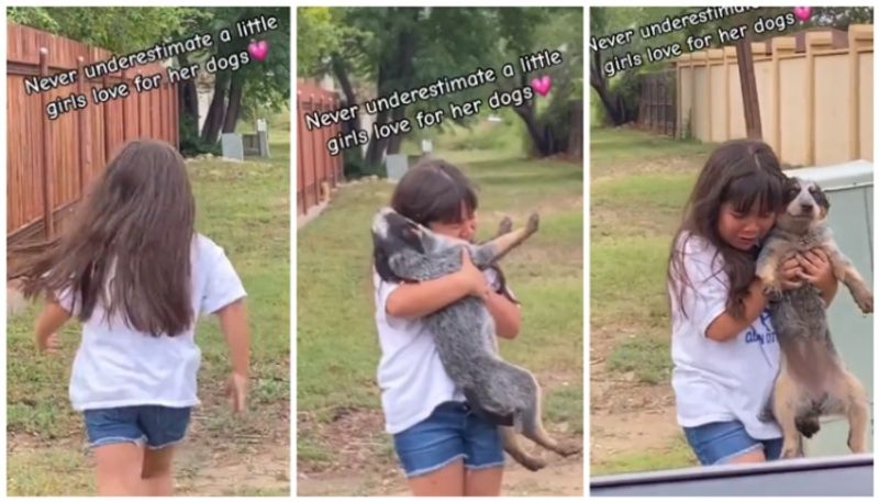 Video of child s tears of joy when he got his lost puppy back goes viral bkg