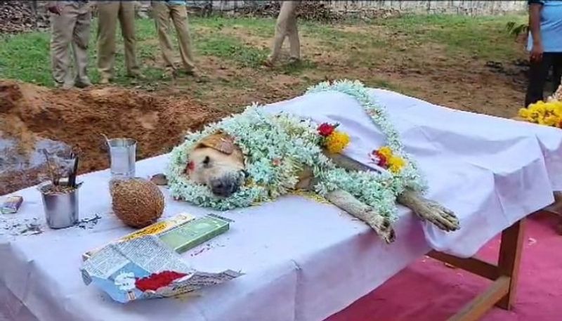 Police Dog Belli Passed Away Due to Illness in Uttara Kannada grg