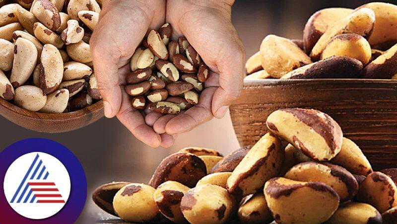 Benefits Of Brazil Nuts For Thyroid Know How To Add In Your Diet roo