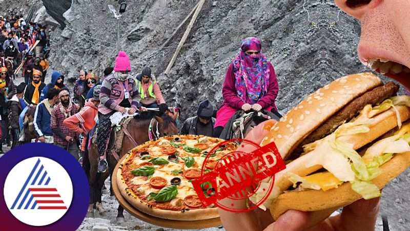 Travel Tips Amarnath Yatra Foods Menu Banned Burger Pizza roo