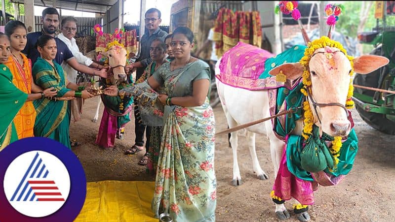 Baby shower for loveable cow in Belgavis Chikkodi Vin