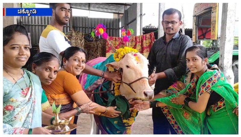 family holds baby shower ceremony for a cow in Belagavi nbn