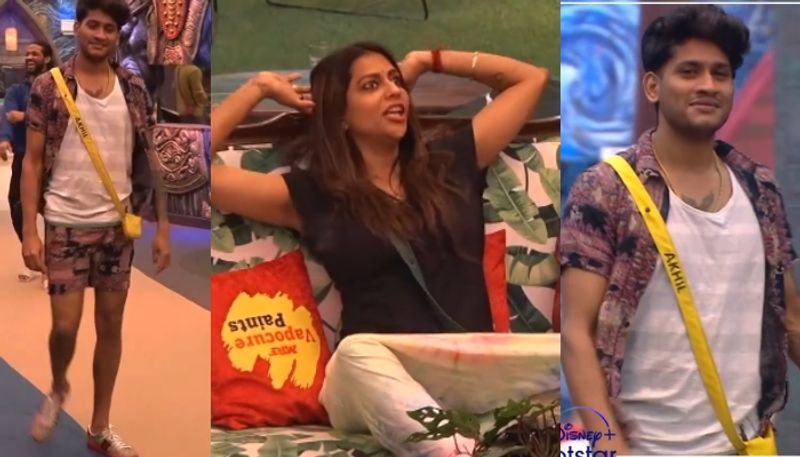 akhil marar and sobha in bigg boss malayalam season 5 nrn