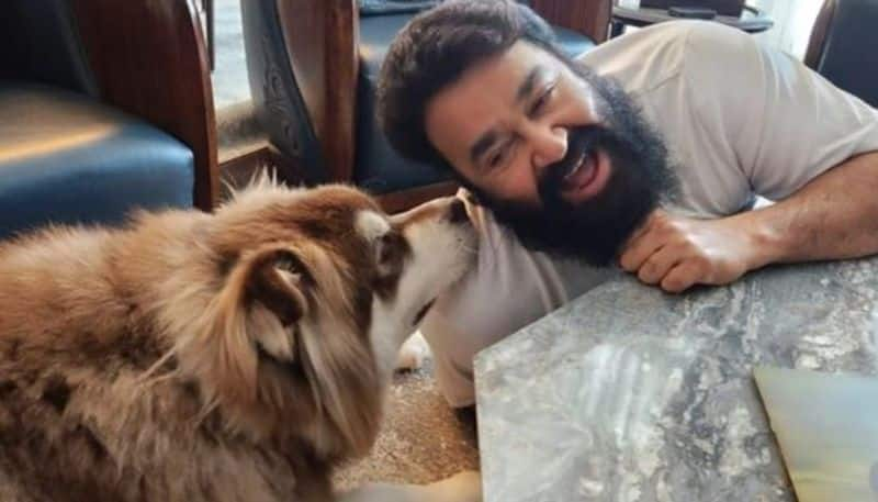 mohanlal share photo with his pet dog simba nrn