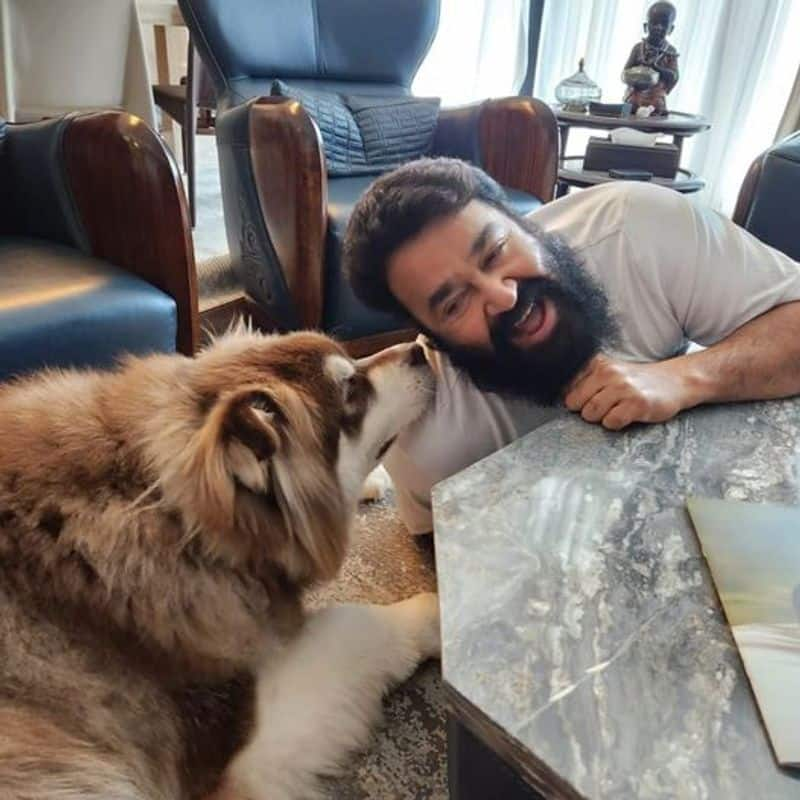 mohanlal share photo with his pet dog simba nrn