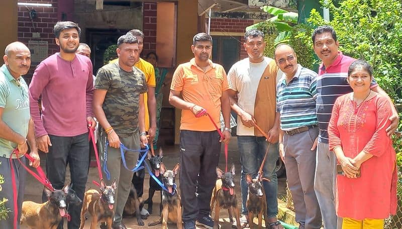 17 Puppies of Bavikeri In Uttara Kannada for National Service gvd