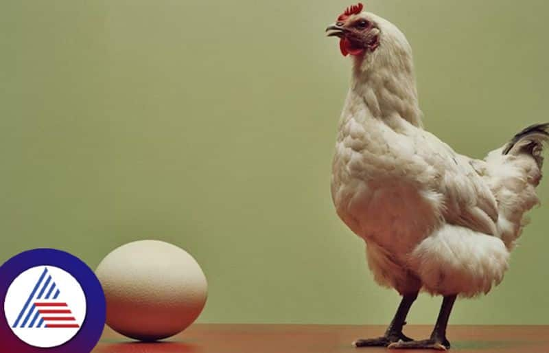 What came first, chicken or egg, The age old puzzle is solved Vin