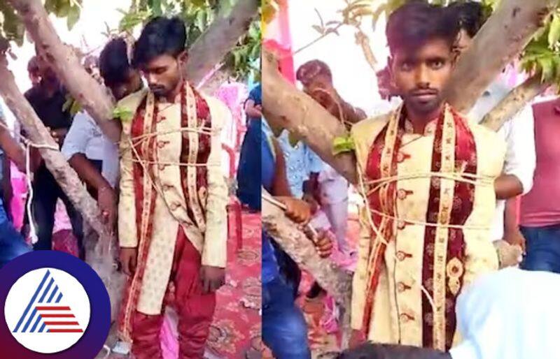 Viral Video Shows UP Groom Being Tied to a Tree For Demanding Dowry Vin