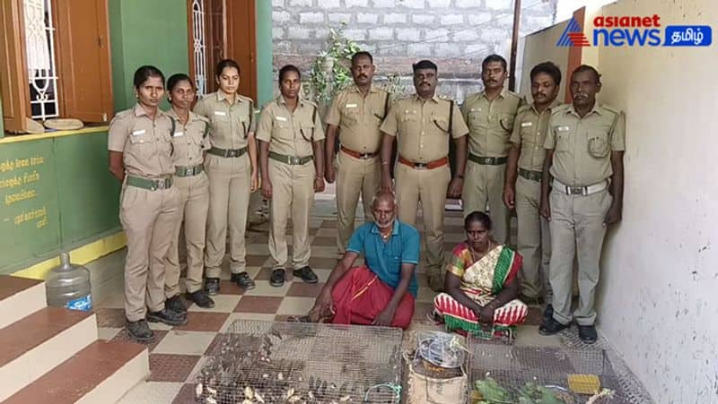 A couple was arrested for selling parrots roaming in the forest! 