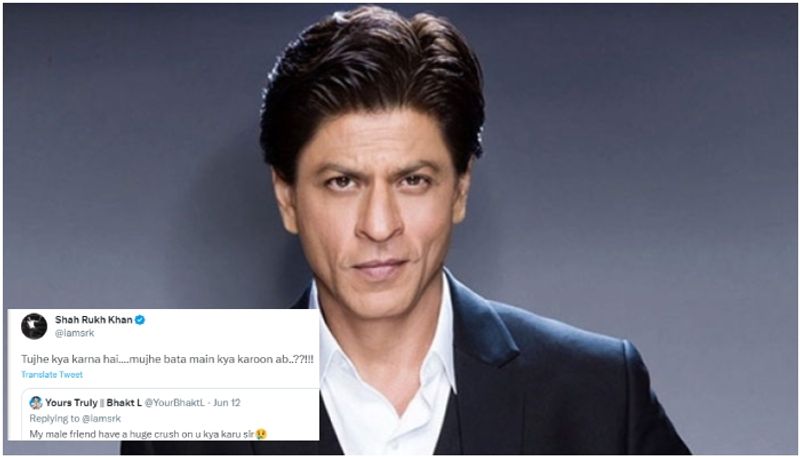 shah rukh khan Gives Witty Reply To Fan Who Said My Male Friend Has A Crush On You sgk