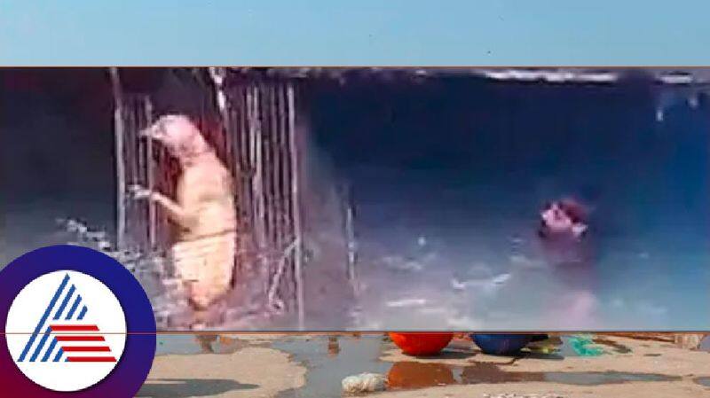 Rescue of dogs trapped in Malpe Beach at udupi rav