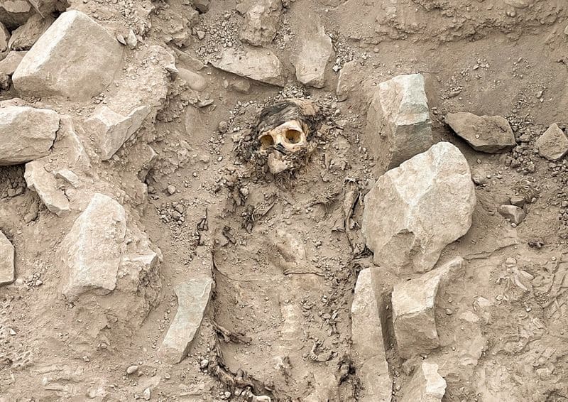 Archaeologists Find A 3,000-Year-Old Mummy Under Garbage In Peru