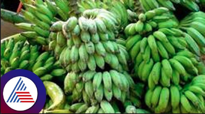 Sudden increase bananas price at uttara kannada rav