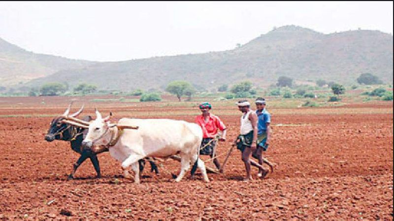 karnataka monsoon lack of rain in june agricultural work stoped farmers panic at dharwad rav