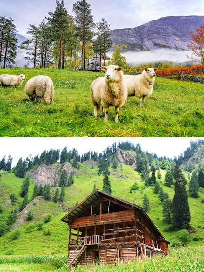 Manali to Nainital-7 must visit hill stations in India