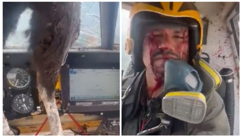 viral video shows pilot covered in blood after bird crashed the aircraft windshield bkg 