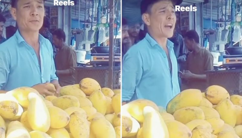 Waka Waka Mango Sales Strategy Goes Viral azn