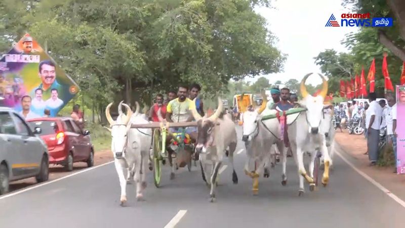 bull race held well in pudukkottai district