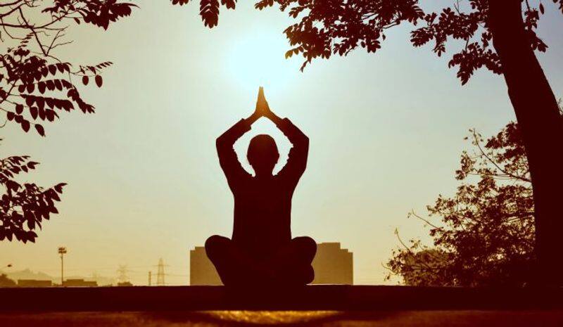 International Yoga Day 2023: 10 asanas for beginners