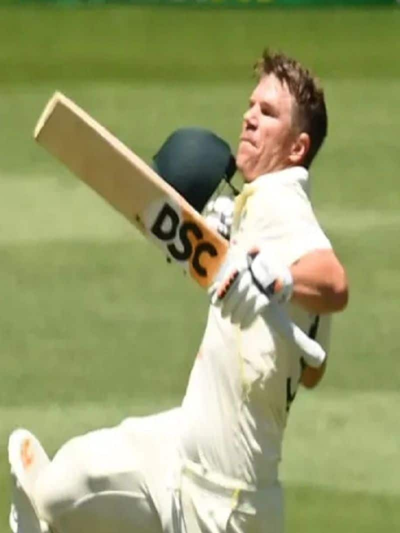 Australian Opener David Warner goes past Virender Sehwag in Test Cricket kvn