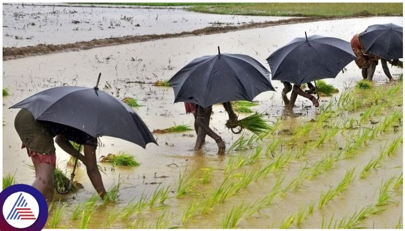 Karnataka receives regular monsoon rains Meteorological department announcement sat