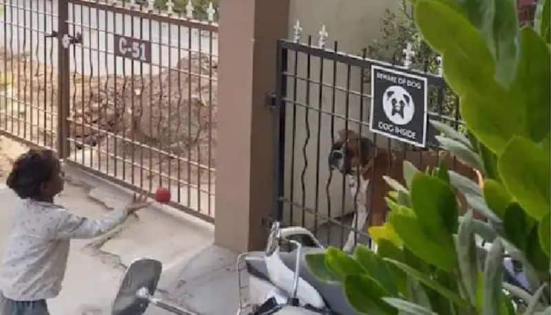 homeless girl and pet dog playing rlp