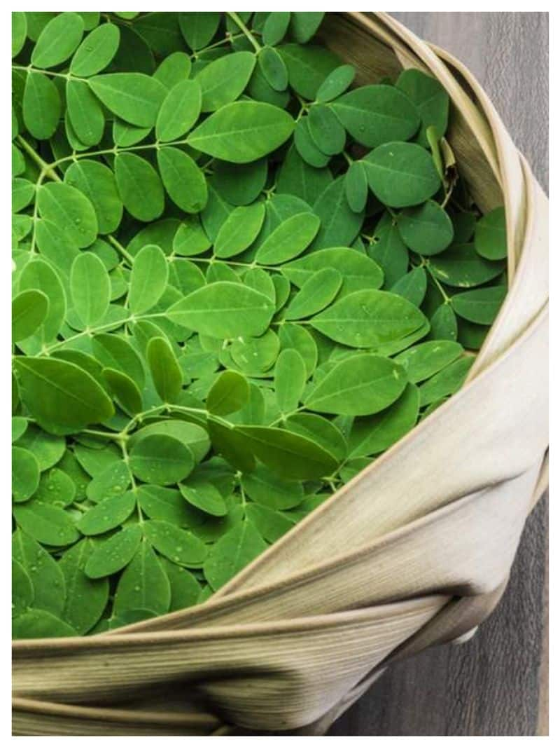 reasons why you should eat moringa leaves daily-rse- 