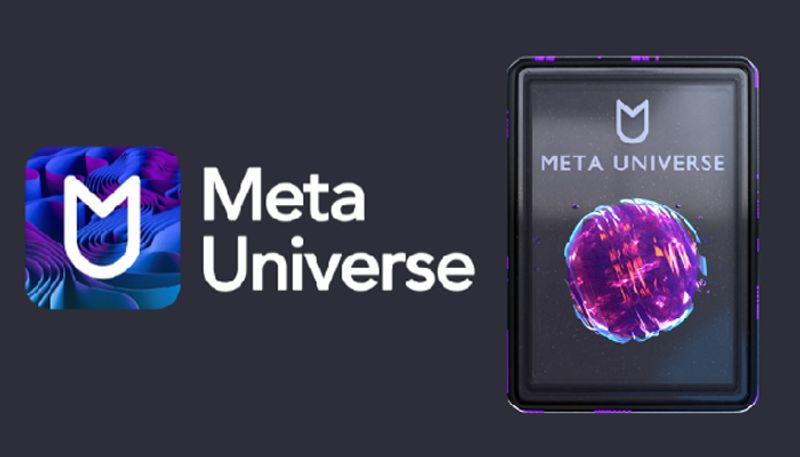 Meta Universe thriving in the NFT Staking verse with Polygon Chain