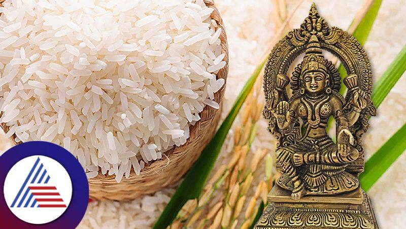 Astro tips of rice for pitru dosh and money problem pav 