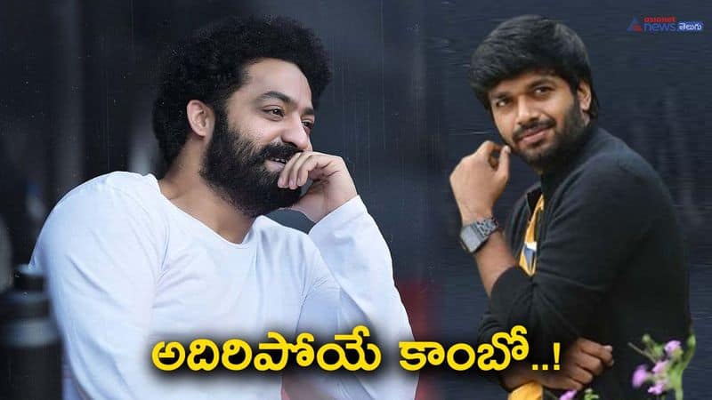 Gossip Alert: Speculations of NTR and Anil Ravipudi Joining Forces in an Exciting Project