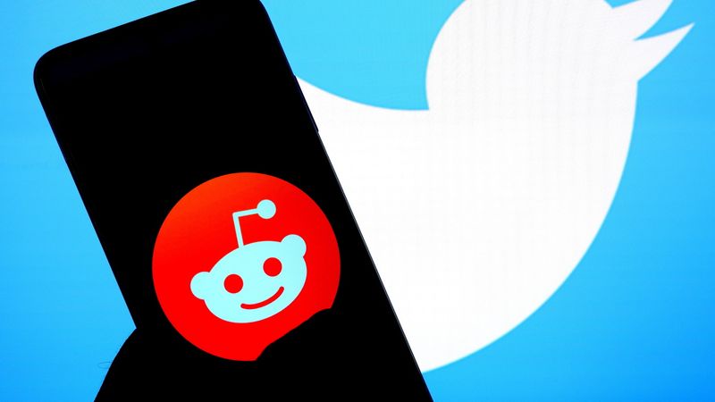 Reddit CEO Praises Elon Musks Cost Cutting Moves Amid Widespread Protest vvk