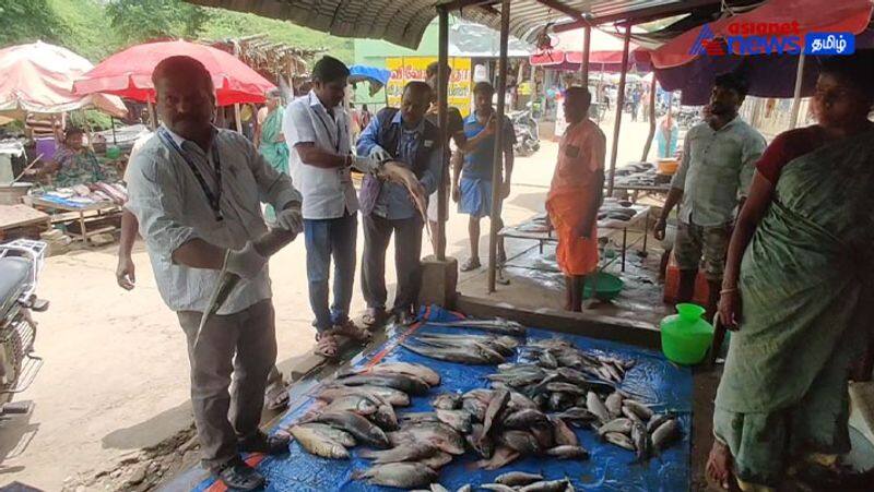 Selling rotten fish on hogenakkal tourist sites! 92 kg of fish confiscated and the authorities took action!