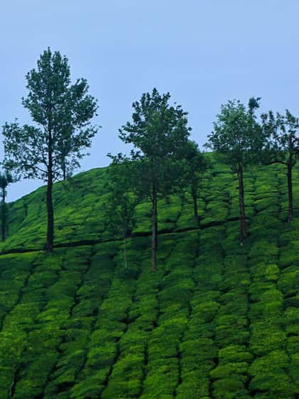 Coorg