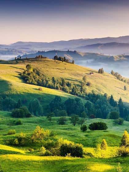 Wayanad