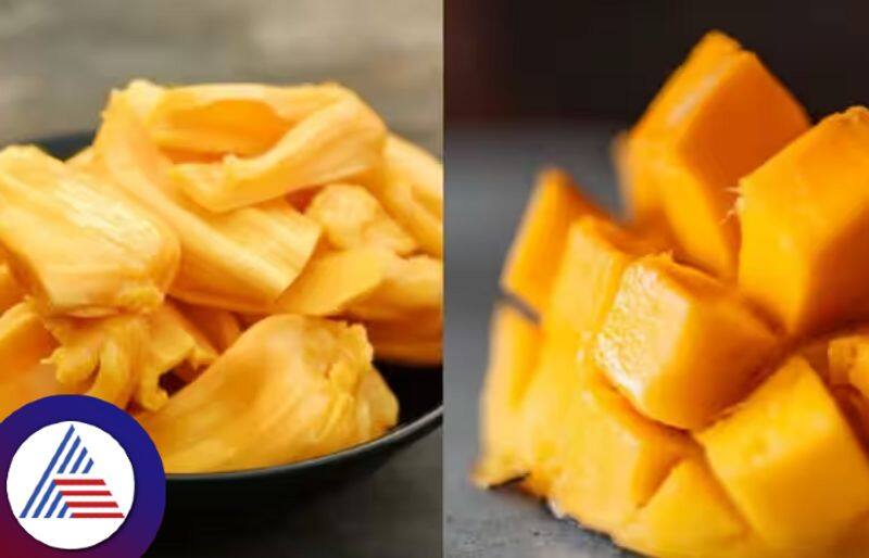 Can Diabetic patients eat jackfruit or mangoes, Heres what health expert says Vin