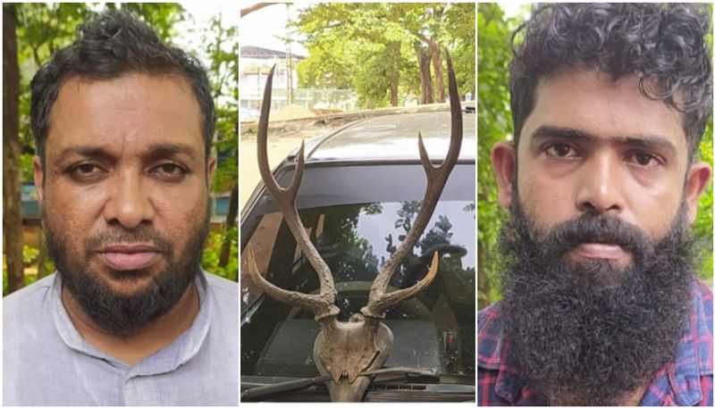 two arrested with deer horns btb