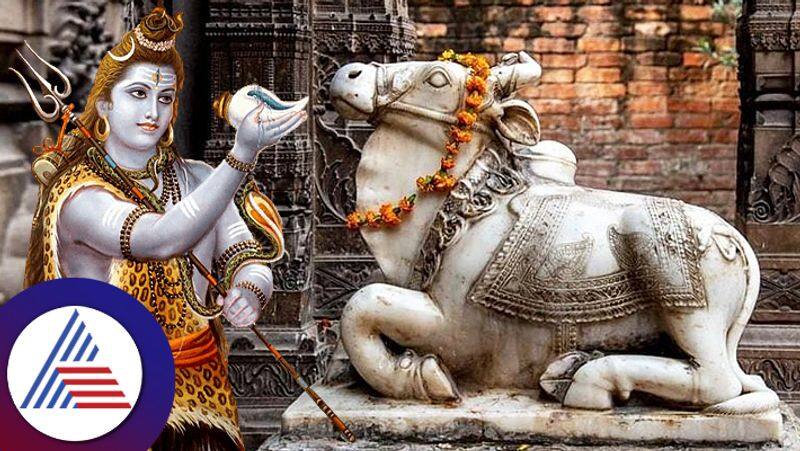 Why Nandi statue in Shiva temple in sitting position pav 