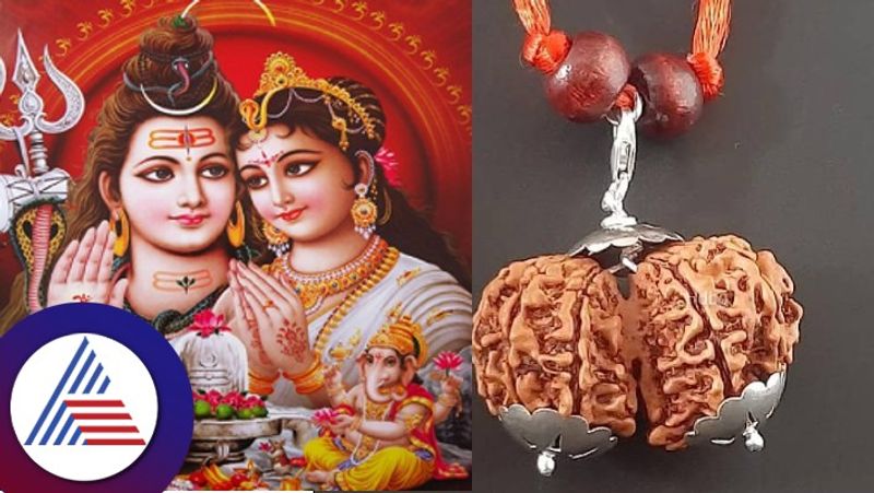 Gauri Shankar Rudraksha makes married life happy skr