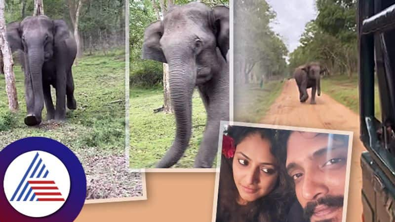 Vasishtha Simha Haripriya  couple chased by an elephant in safari suc